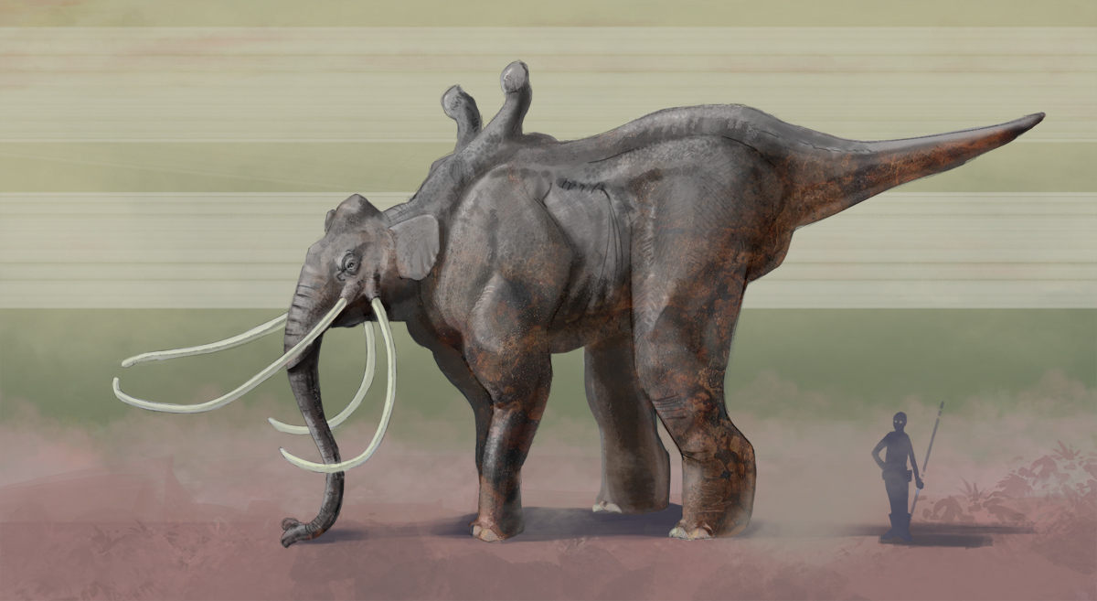 megodont-final1.jpg