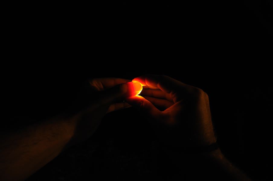 DSC_1893a.jpg