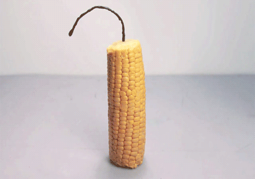 tumblr_myr3ykUmzc1si2k4ao1_500.gif