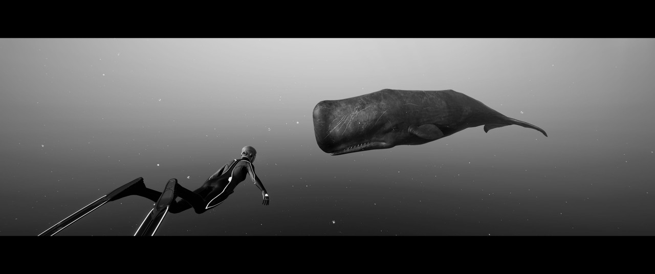 Beyond-Blue-Screenshot-2024-02-02-15-00-41-08.jpg