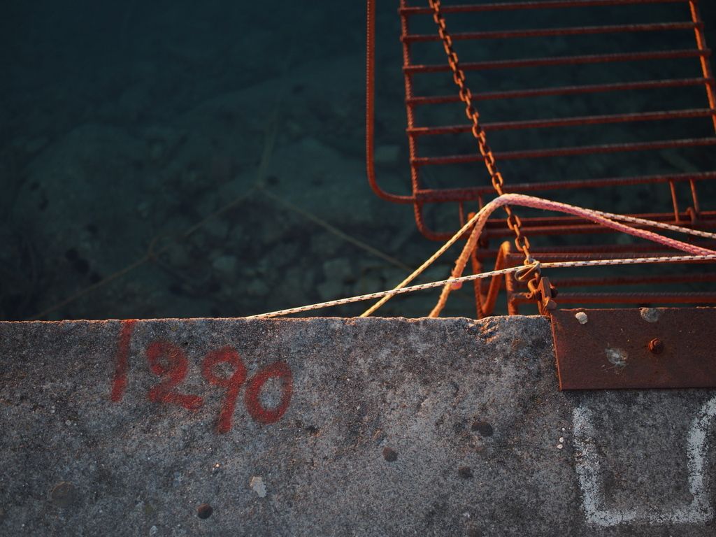 PC230440.jpg~original