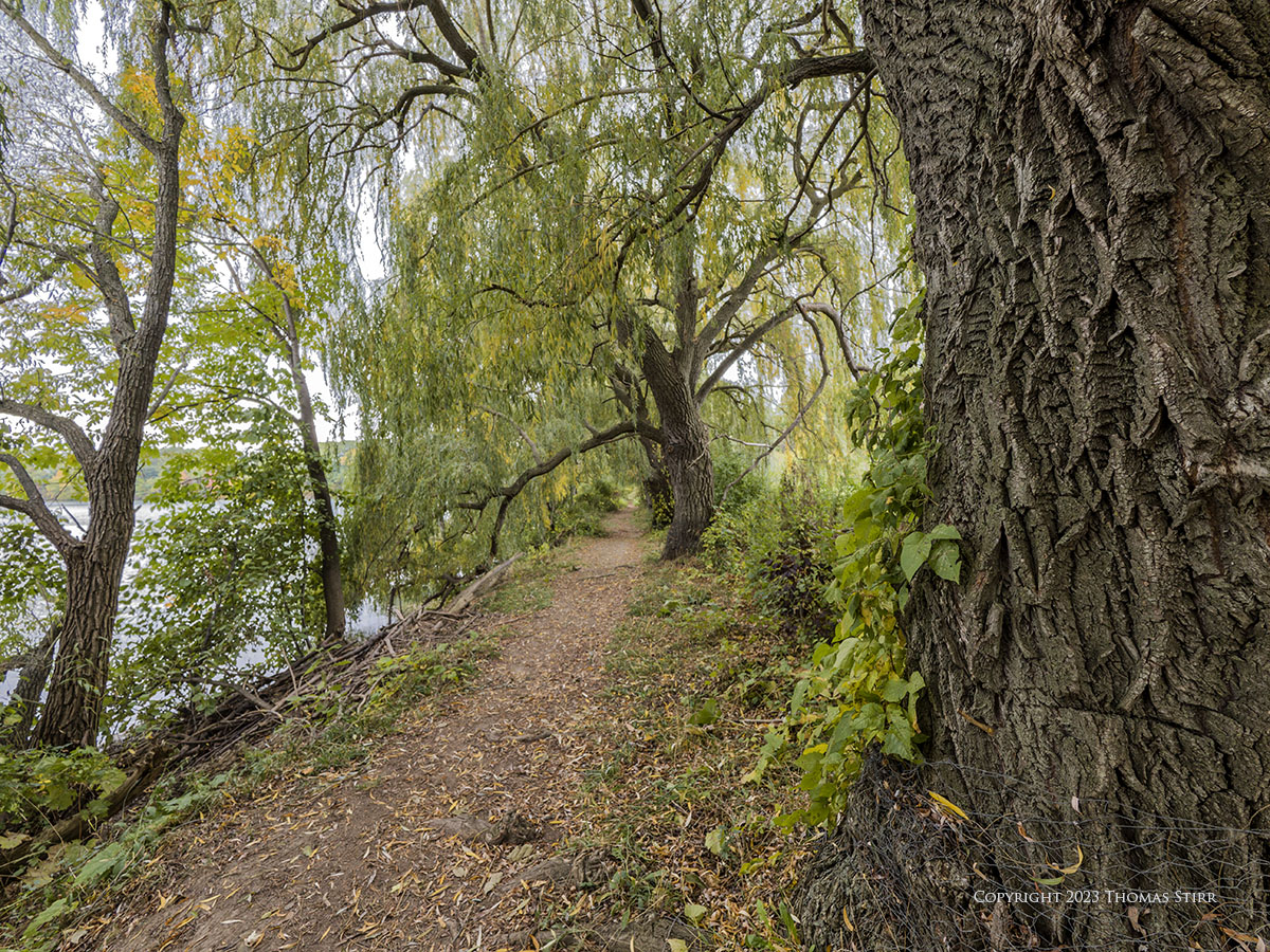 smallsensorphotography.com