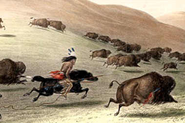 buffalo-hunt.jpg