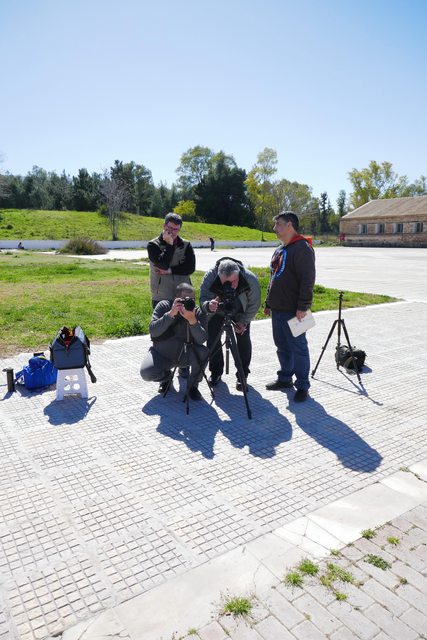 VrtnO57l.jpg