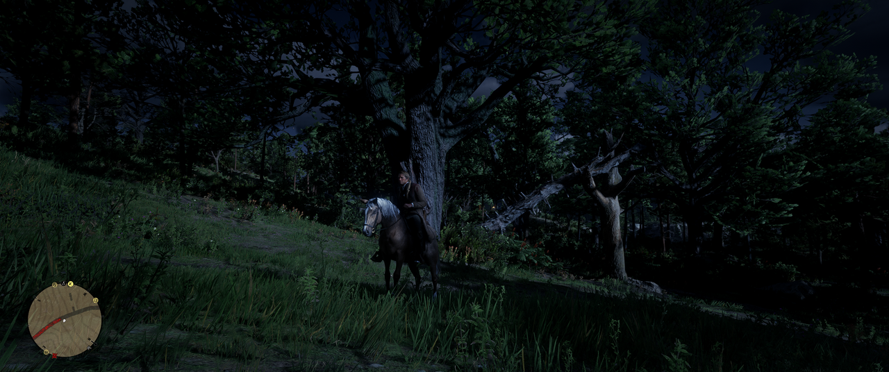 Red-Dead-Redemption-2-2022-01-25-23-52-1.png
