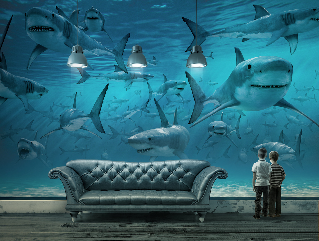 Shark.Boys-1.jpg