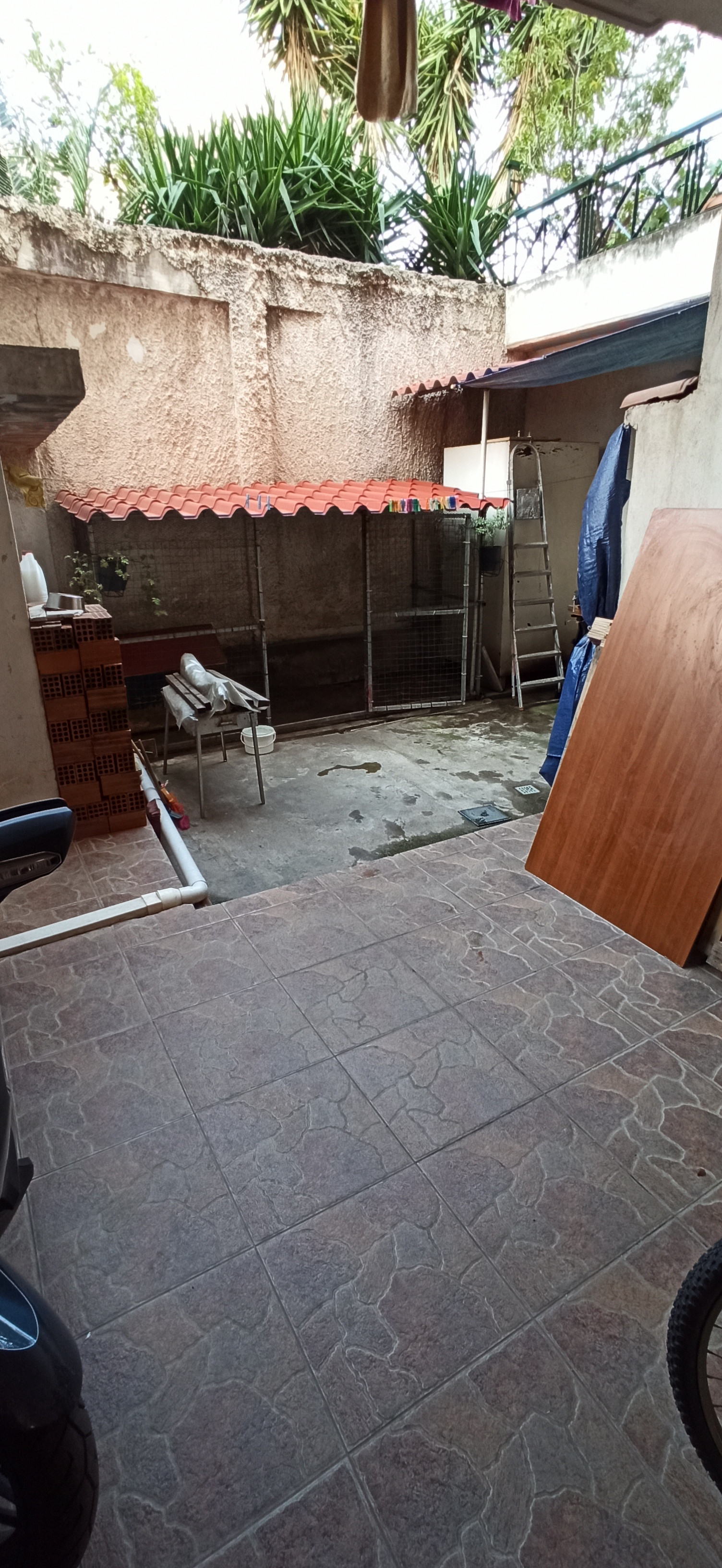 IMG-20210307-144410.jpg