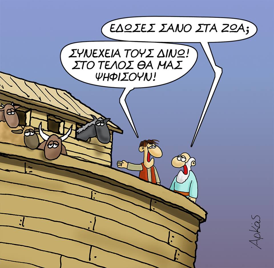 arkas-noe-01.jpg