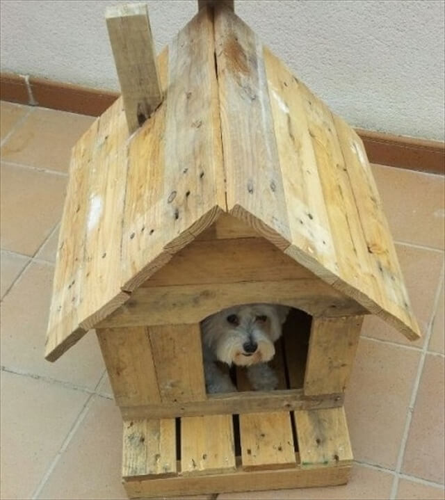 pallet-dog-house.jpg