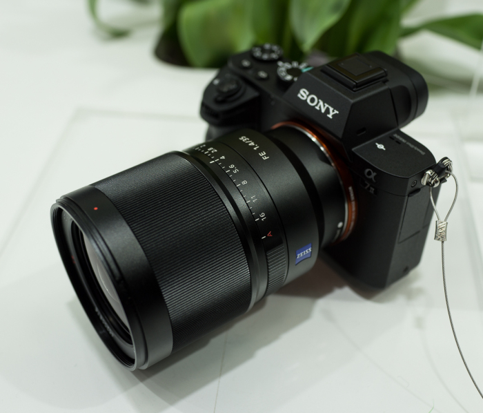 sony3514-700x598.jpg