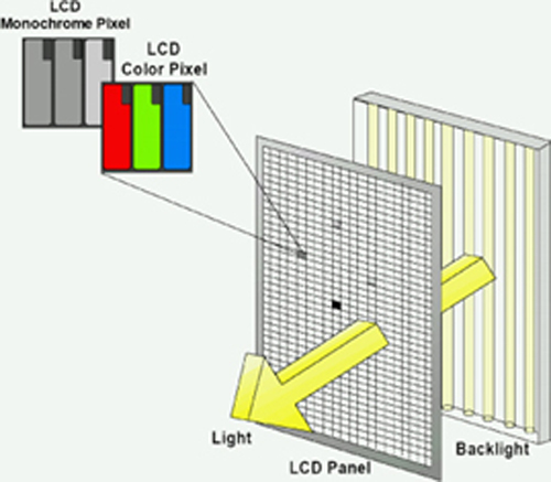 195_fig1.jpg