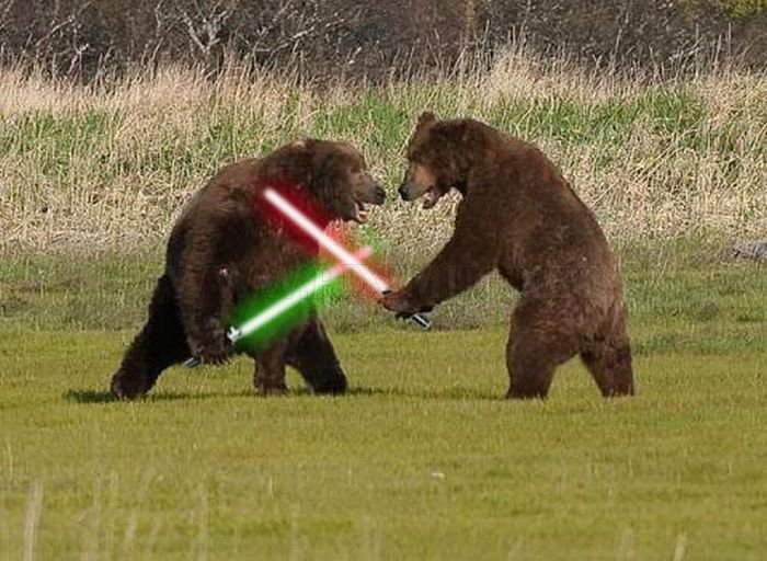 when-animals-go-star-wars-on-each-other-12.jpg