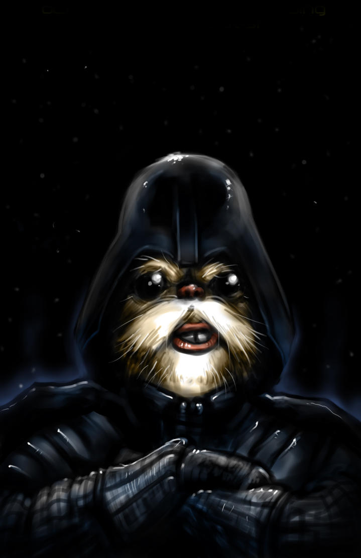 ewok_darth_vader_by_corcorrrr-d4ew4fu.jpg