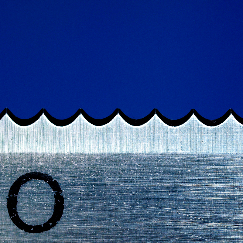 4293178549_f6f82e81ea_o.jpg