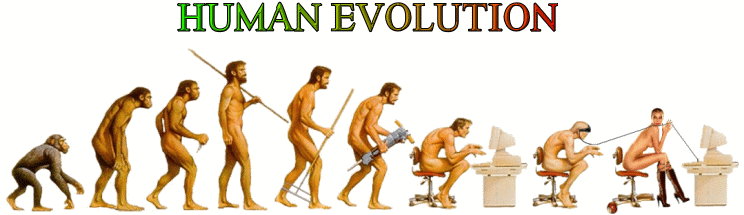 human_evolution.jpg