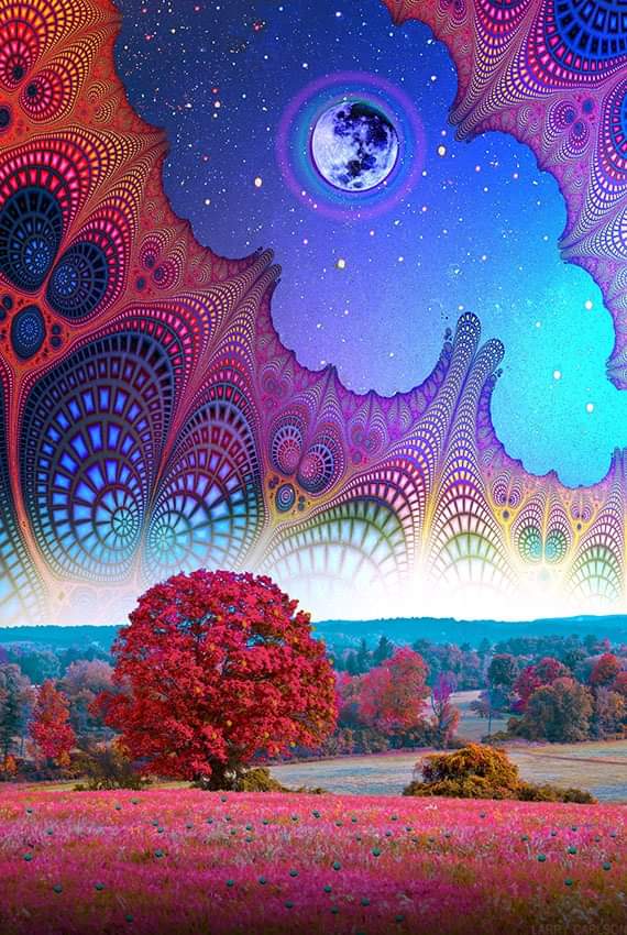 autumn-kingdom-by-larry-carlson-9zjac2bs6g.jpg