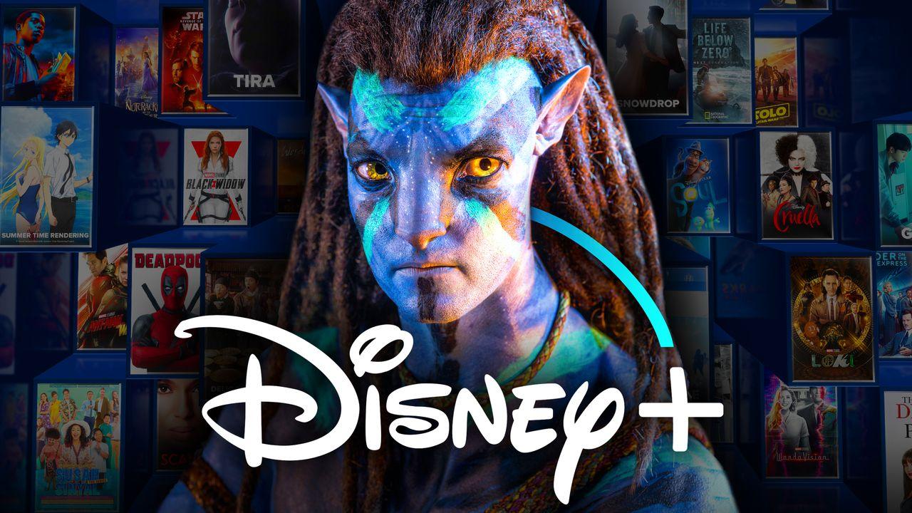 thedirect.com
