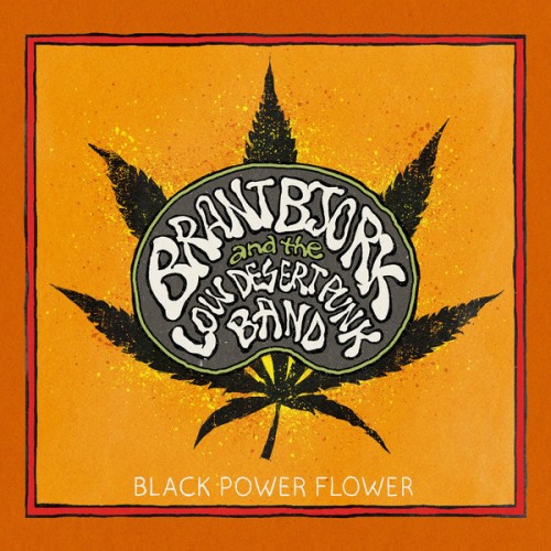 22163-black-power-flower.jpg