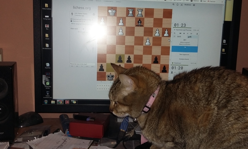 Minion-chess-a.jpg