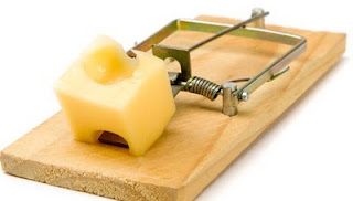 mouse_trap.jpg