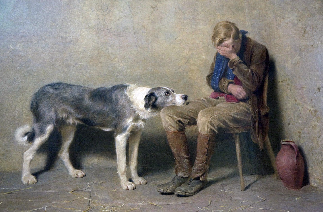 dog-cry.jpg