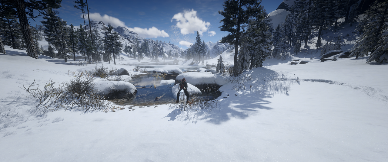 Red-Dead-Redemption-2-2022-12-09-03-31.png