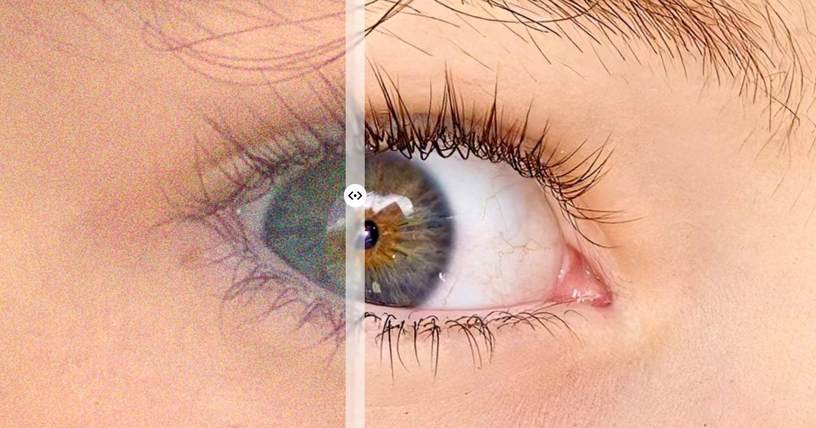 petapixel.com