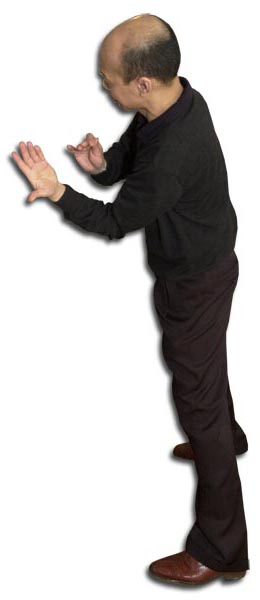 6_franck1.jpg