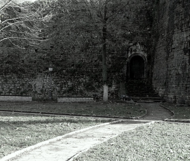 L1000307.JPG