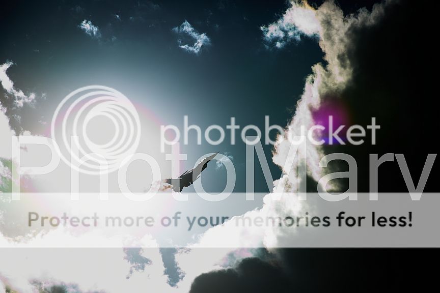 BC3A1585_zps1d84addf.jpg