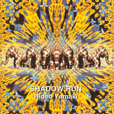 Shadow+Run.jpg