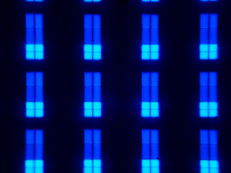 P1070459.png