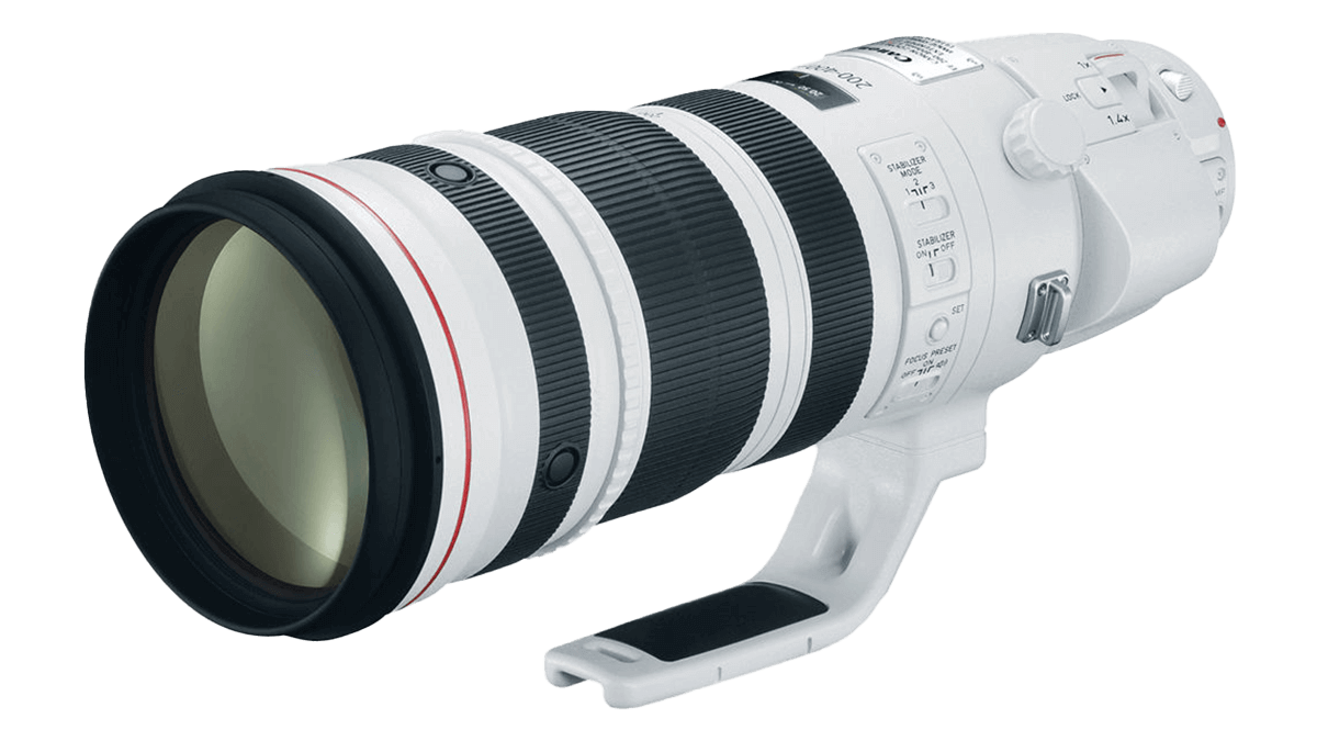 www.canonrumors.com