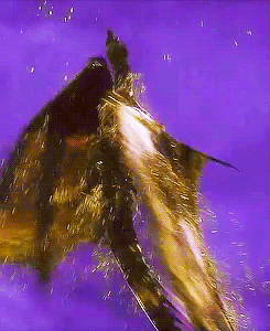 fe1176c0c0a221d6d2f41cd47a8142d5.gif