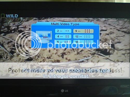 multi20video.jpg