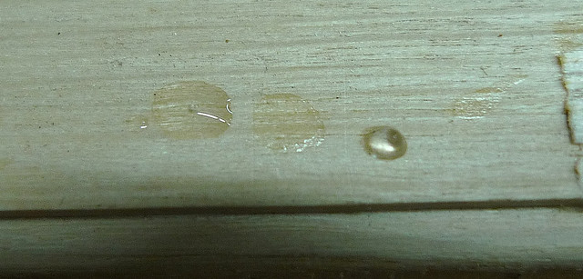 38107303936_2dab36fe21_z.jpg