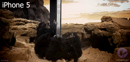 monolito-2001-iphone.gif