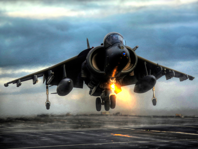 Harrier.jpg