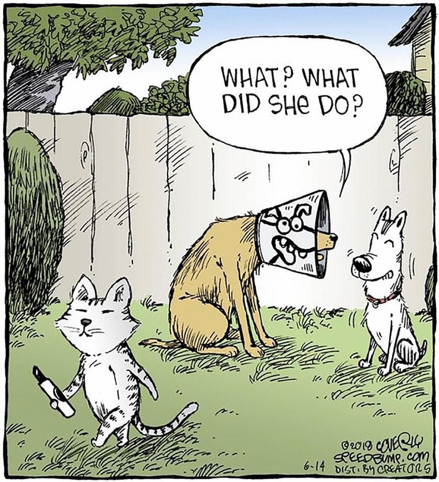 what-what-did-she-do.jpg