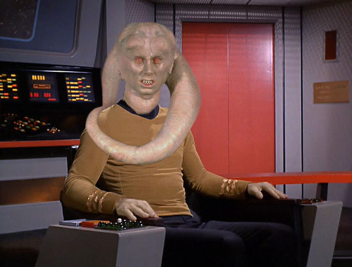 captain_bib.jpg