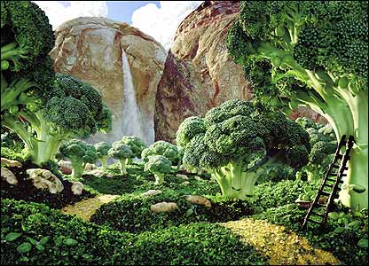 _44354227_broccoli_416x300jpg.jpg