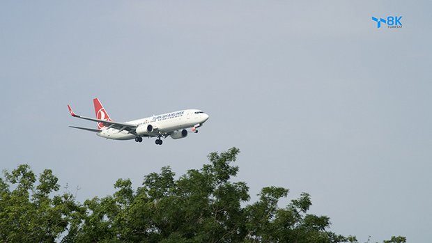 103.jpg