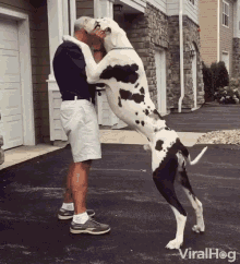 tenor.gif