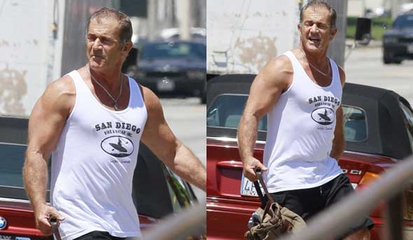 mel-gibson-expendables-3.jpg