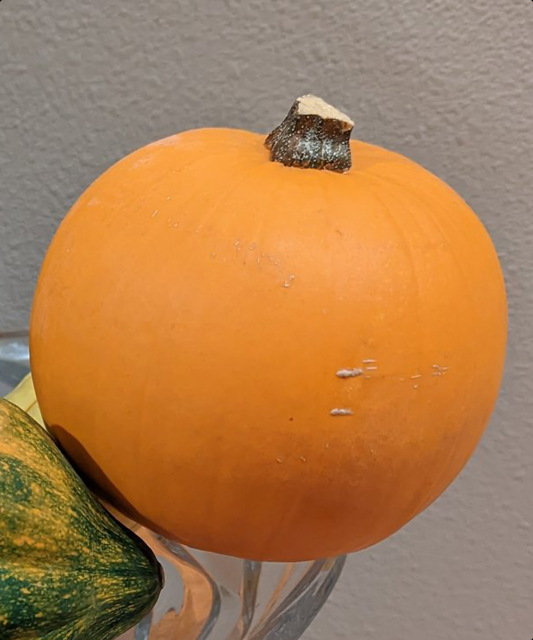 Google-Pixel-7-Pro-Sample.jpg