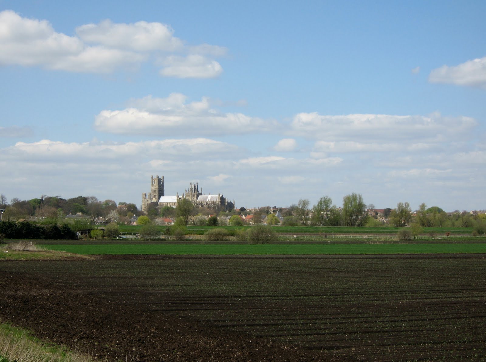elycathedralview1.jpg