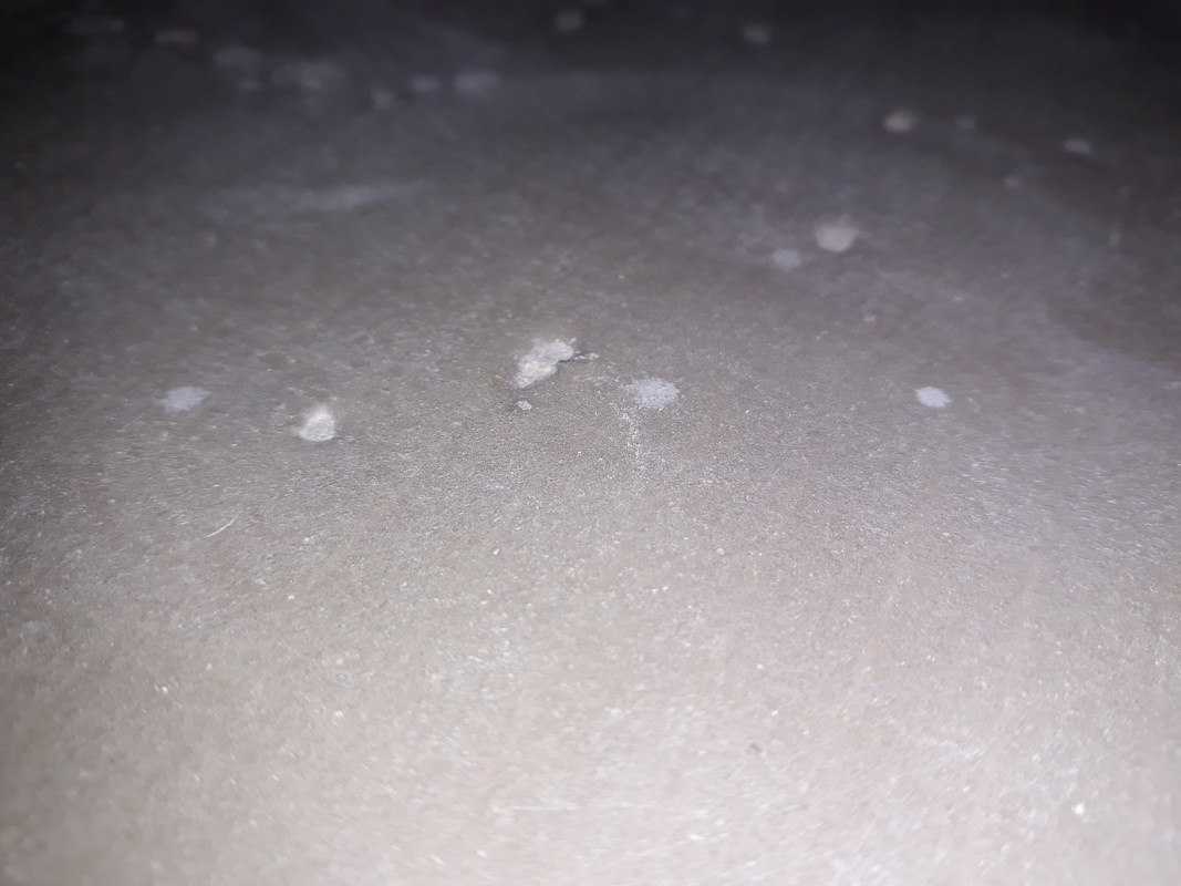 20190802-125135.jpg