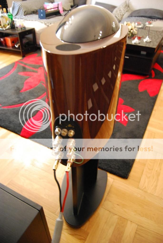 DSC_0730_zps22914dc8.jpg