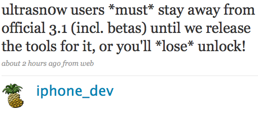 devteam-on-iphone-os-31.png