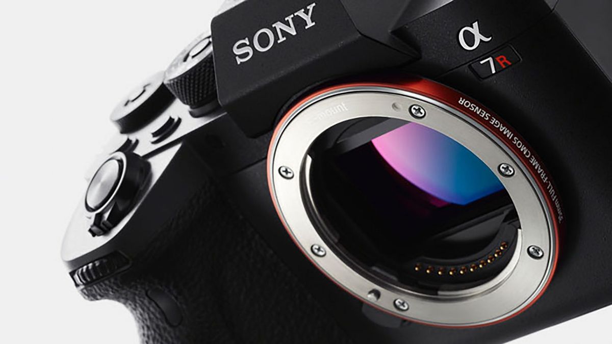 www.digitalcameraworld.com
